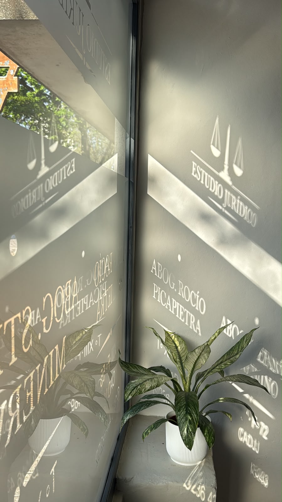 El nombre de Rocío Picapietra y el cartel del estudio reflejados en el vidrio
